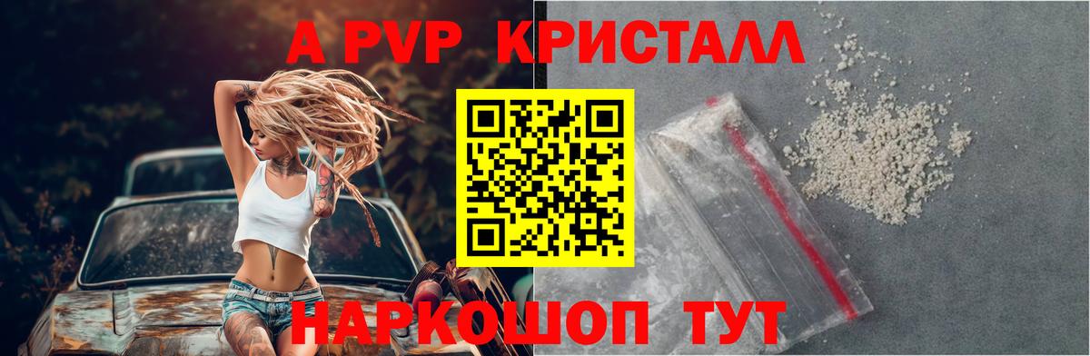 Альфа ПВП СК КРИС Шали