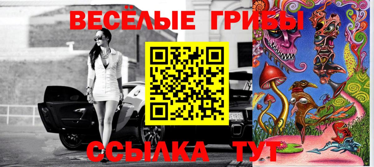 Галлюциногенные грибы Cubensis  Вход с VPN  Шали 